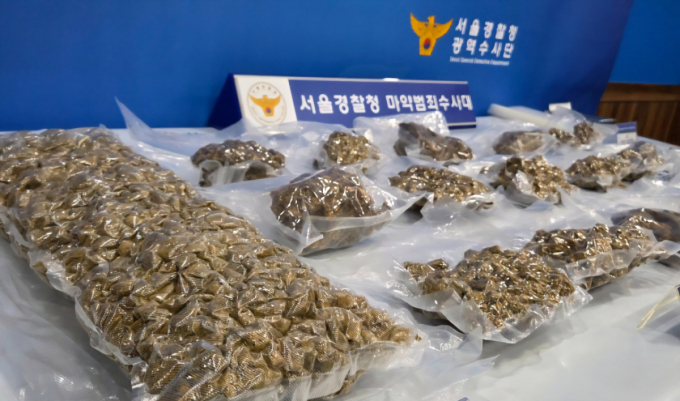 전세사기 후 태국 도피한 마약사범…8년만 강제송환·구속 송치