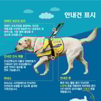  "����ϴ� ���㾲�� �ȵſ�" �ȳ��� ��Ƽ�� �ƽó���? 