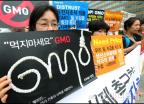 'GMO  ̱   ߴ ˱'