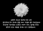 숨진 김포FC 유소년 선수가 휴대폰에 남긴 이름들…"죽어서도 저주"