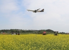 [사진]인천공항 내 하늘정원 유채꽃밭 무료 개방