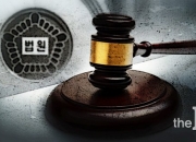 [친절한판례씨] 근거조항 없음에도 재외국민 권리 인정해 준 대법원