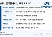 [단독]현대차 사내망 통해 임직원에 車판매 나서 