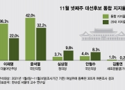 305개 여론조사 전수조사해보니…윤석열 42% vs 이재명 36.3%