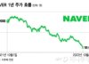 'BUY→SELL' 외국계 혹평에 6% 급락 "NAVER 17만원 간다"