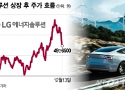 "60만원 돌파, 환호" LG엔솔 한달만에 -20% 급락...왜?