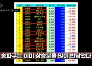 2년 전 등장했던 폭락론자의 예언 "대반등 준비해야"[부릿지]