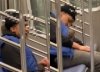 "뉴욕 지하철에서 잠들지 마"…대형 쥐 올라타더니 '산책 한 바퀴'