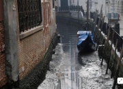 내가 알던 베네치아 맞아?…"최악 가뭄" 말라붙은 운하, 곤돌라 중단
