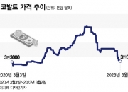 'K-배터리 필수품' 코발트…1년 만에 -60% 폭락한 이유는?