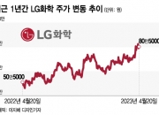 2차전지 랠리 타고 시총 4위 찍었다…LG화학에 모이는 기대감