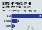 "상폐시키고 美 가자고"…시총 1위 몸값 고작 6200억원, 韓보안업 한숨