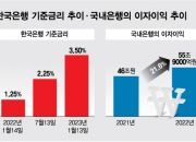 '횡재세' 맞고 코너 몰린 은행권…"실제 이익률 1.83% 불과" 호소