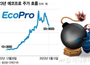 '82만원' 찍고 주르륵…잘나가던 에코프로, 50만원도 '위태'