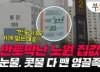 8개월새 5억 '폭락'…'영끌족 성지' 노원, 절망만 남아 [부릿지]