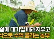 "300원 하루살기로 종잣돈 모아"…주식 수억 굴리는 농부 됐다