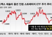 "1억 넣으면 매년 7000만원씩 배당" 진짜야?…불티 난 상품
