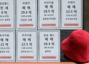 "매물 있나요?" 과천도 20억 훌쩍…공급대책 예고에도 뛰는 집값