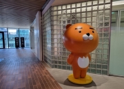 "카카오 죽이면 안된다"는 IT업계 전문가들…"국가 경제도 타격"