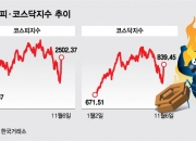 코스피 5%, 코스닥 7% '쑥'…"산타랠리 올까" 기대하는 개미들