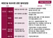 [단독]태영건설 오너家 최소 3000억 사재출연…내일 4가지 자구안 발표