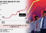 한국인들 '줍줍'했는데 하루 만에 '-90%'…홍콩 주식의 수상한 폭락