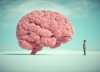 여성의 '뇌'는 남성과 달라…뇌질환 다른 이유 밝혀졌다