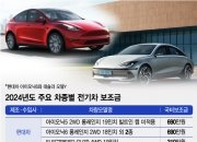 "한국 기업이 먼저" 전기차 보조금 몰아주자…수입차 "가격 인하"