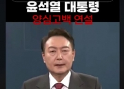 윤 대통령 허위 영상 만든 50대 잡혔다…"특정 정당서 일해"
