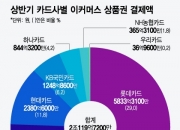 [단독]상반기 거래만 2조...'상품권깡' 티메프가 판깔고 카드사가 키웠다