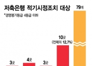 [단독]저축은행 10곳, 적기시정조치 대상..10년 마다 반복된 위기