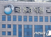 [단독]'랩·신탁 돌려막기' DB금융투자 추가…검사대상 확대