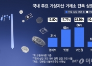"다 날렸다" 한순간 휴지조각…개미 울리는 이 '부실 코인' 수백개