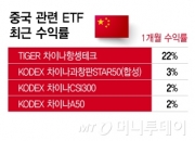 미국 주식보다 낫다?…한달 '수익률 22%', 전문가들 "더 오른다"