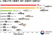 자연산 민물고기 날로 먹었다 '날벼락'…최악 땐 암까지 부른다