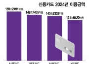 신한·KB카드도 애플페이 임박… 카드 업계 '1위' 싸움 더 치열