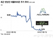 129달러→0.8달러 폭락에도 몰렸다…서학개미들 증시 오징어게임