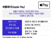 "아 맞다! 지갑" 깜빡해도 폰 '띡'…애플페이 2막, 카드 '대는' 시대 열까