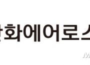 주주희생 강요하는 시총 상위사들 유증