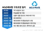 MG 다음은 또 어디?..'퇴로' 없는 보험사 구조조정