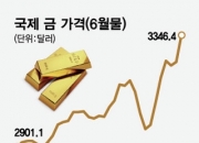 '또 또 최고가' 금값 3600달러 전망도…ETF·ETN도 달린다