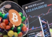 "부장님도 코인 샀대"…트럼프가 띄우더니 국내 시총 100조원 돌파