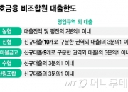 '부실 조합 속출' 상호금융, 공동대출 손본다..20개 개혁과제 발표