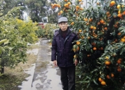 "마을회관 지붕 수리 중 추락" 정 많던 70대 뇌사…3명 살리고 떠났다