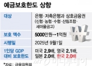1억까지 안전한데, 저축은행 돈 넣을까?… 2금융권 "안 받아요"