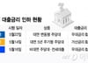 "대출 너무 옥죘나"…대형 은행, 주담대 금리 인하 행렬