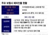 "국내는 좁아"… 해외 시장서 승전보 울리는 한국 보험사들