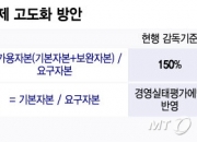 보험사 킥스 규제, 24년만에 150→130%로…안심 못하는 보험업권
