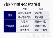 시총 '2조' 대한조선, 공모 절차 돌입…하반기 공모주 드라이브?