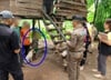 태국서 개 6마리와 자란 8세 아이…"말 못하고 짖기만"